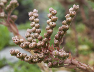 Similar image 1119863