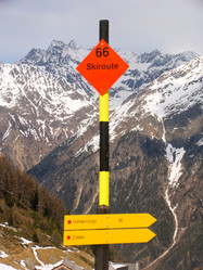 Similar image 1119872