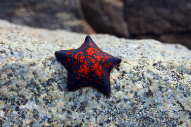 Similar image 1119953