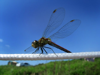 Similar image 1119954