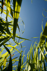 Similar image 1119959