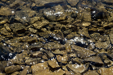 Similar image 1119960