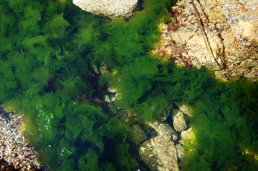 Similar image 1119972