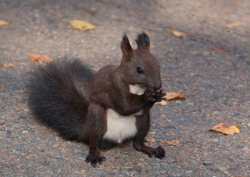 Similar image 1119973