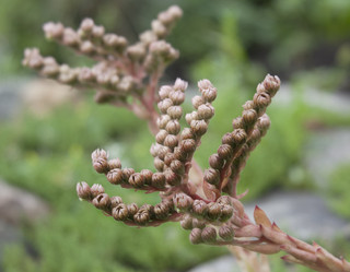 Similar image 1120019