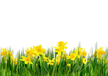 Similar image 1120051