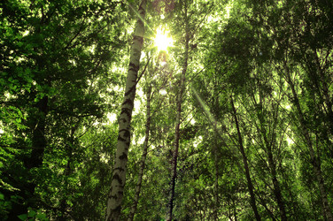 Similar image 1120056