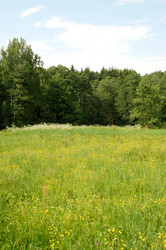 Similar image 1120058