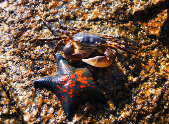 Similar image 1120063