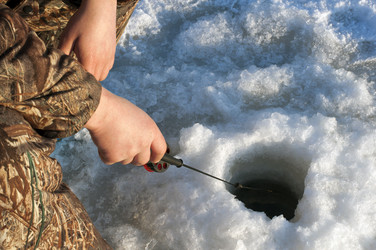 Similar image 1120150