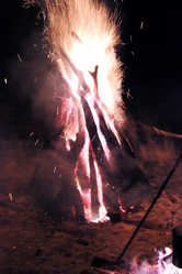 Similar image 1120246