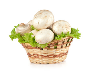 Similar image 1120270