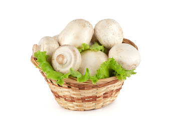 Similar image 1120274