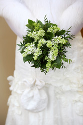 Similar image 1120297