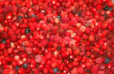 Similar image 1120326