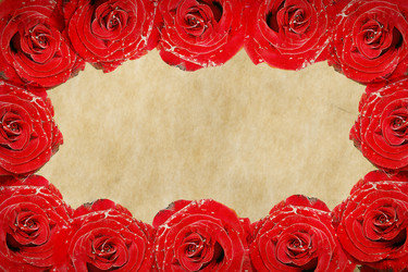 Similar image 1120340