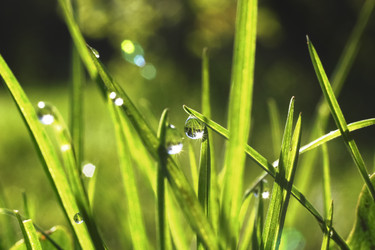 Similar image 1120352