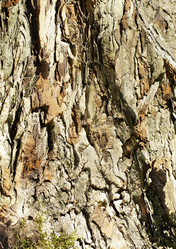 Similar image 1120353