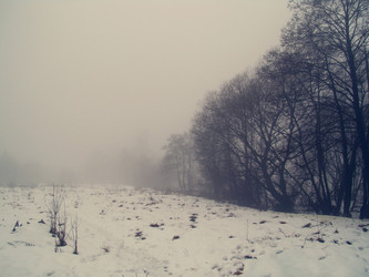 Similar image 1120364