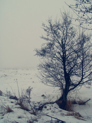 Similar image 1120367