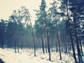 Similar image 1120368