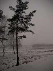 Similar image 1120371