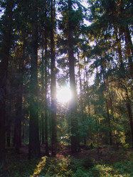 Similar image 1120372