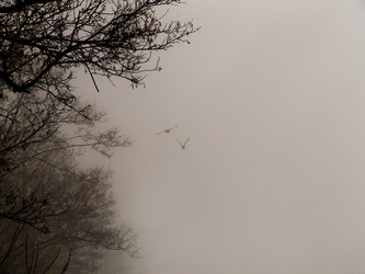 Similar image 1120373