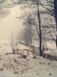 Similar image 1120374