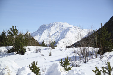 Similar image 1120450