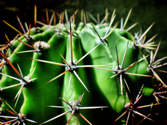 Similar image 1120484