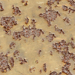 Similar image 1120491