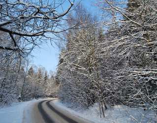 Similar image 1120552