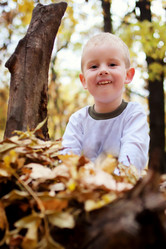 Similar image 1120598