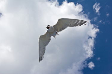 Similar image 1120659