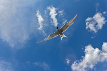 Similar image 1120660