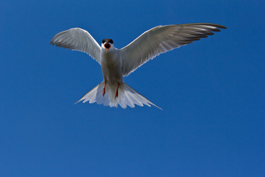 Similar image 1120663