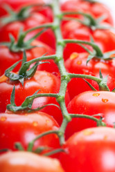 Similar image 1120668