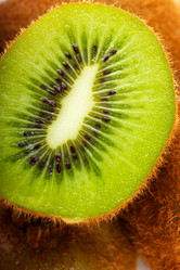 Similar image 1120672