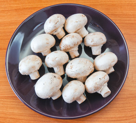 Similar image 1120676