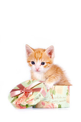 Similar image 1120730