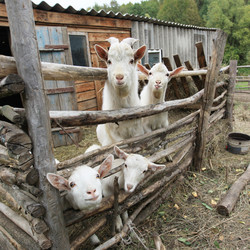 Similar image 1120737