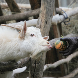 Similar image 1120739