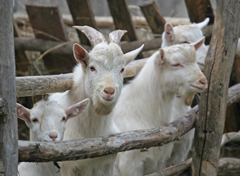 Similar image 1120740