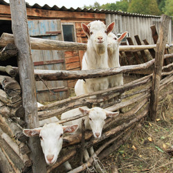 Similar image 1120742