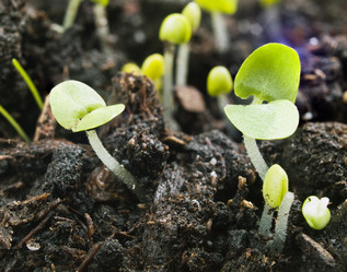 Similar image 1120843