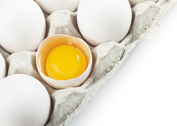 Similar image 1120844