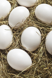 Similar image 1120846