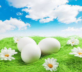 Similar image 1120848