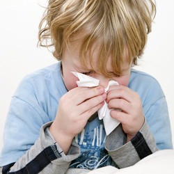 Similar image 1120891